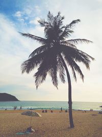 Palm trees on beach