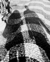 shadow
