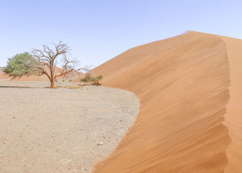 Scenic view of desert against clear sky