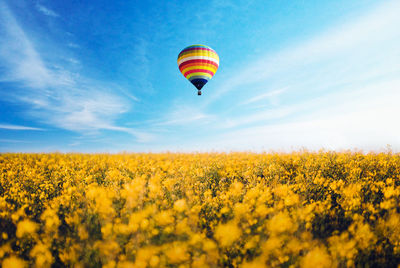 Low angle view of hot air balloon flying over flower field