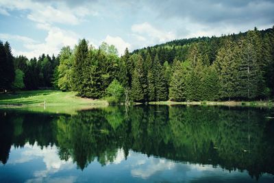 Scenic view of lake in forest against sky