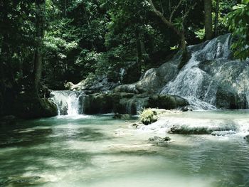 View of waterfall in forest