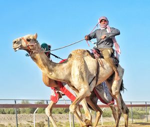 View of man riding motorcycle on land