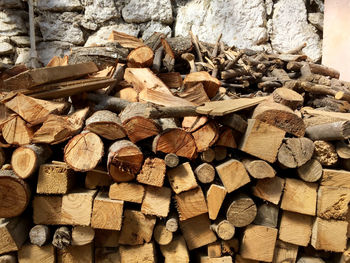 Stack of logs in forest