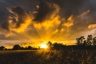 Scenic view of field against sky during sunset