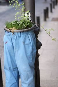 Midsection of person holding potted plant