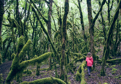 Little red riding hood lost in a dark scary and mysterious forest