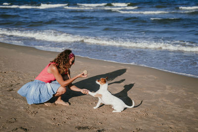 Two dogs on beach