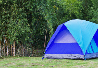 Tent on field against trees in forest