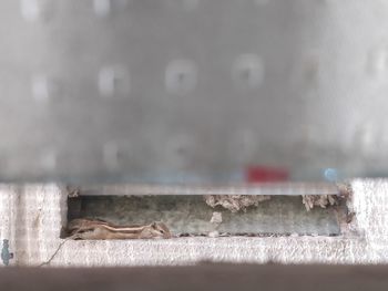 Close-up of cigarette on wall