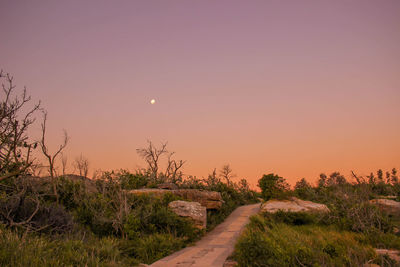 Pathway amidst grassy field against clear sky at dusk