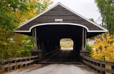 View of covered bridge in forest