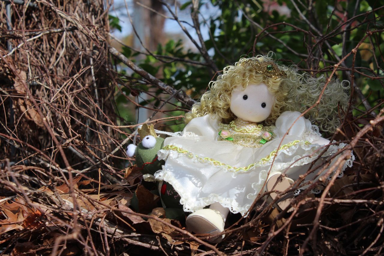 representation, toy, plant, childhood, nature, flower, human representation, tree, animal representation, doll, celebration, stuffed toy, white, egg, spring, easter, day, animal nest, land, abandoned, close-up, autumn, outdoors, teddy bear, creativity, focus on foreground, holiday, branch, baby