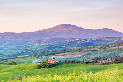 Scenic view of agricultural field against sky