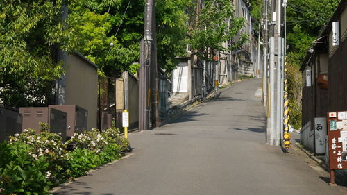 Narrow walkway in park