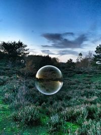 Tea light on field against sky