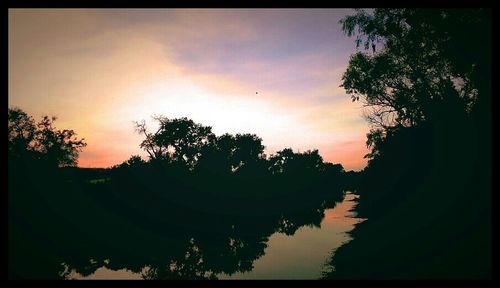 Silhouette of trees at sunset