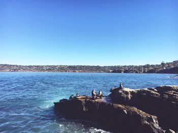 Scenic view of sea against clear blue sky