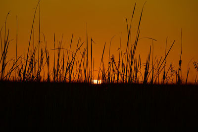 Sunset silence  over a river of grass  in everglades national park