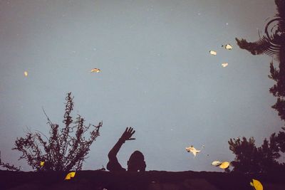 Silhouette birds flying over lake against sky