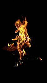 Close-up of bonfire against black background