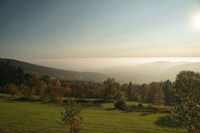 Scenic view of field against sky during sunset