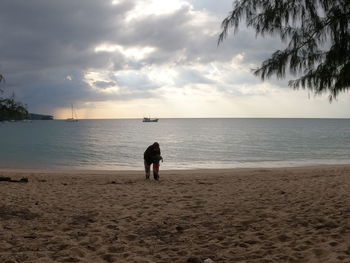 Rear view of woman on beach against sky during sunset