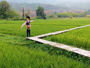 View of scarecrow on field