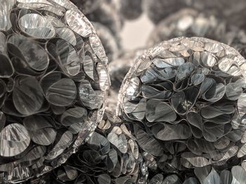 High angle view of ice cream on metal