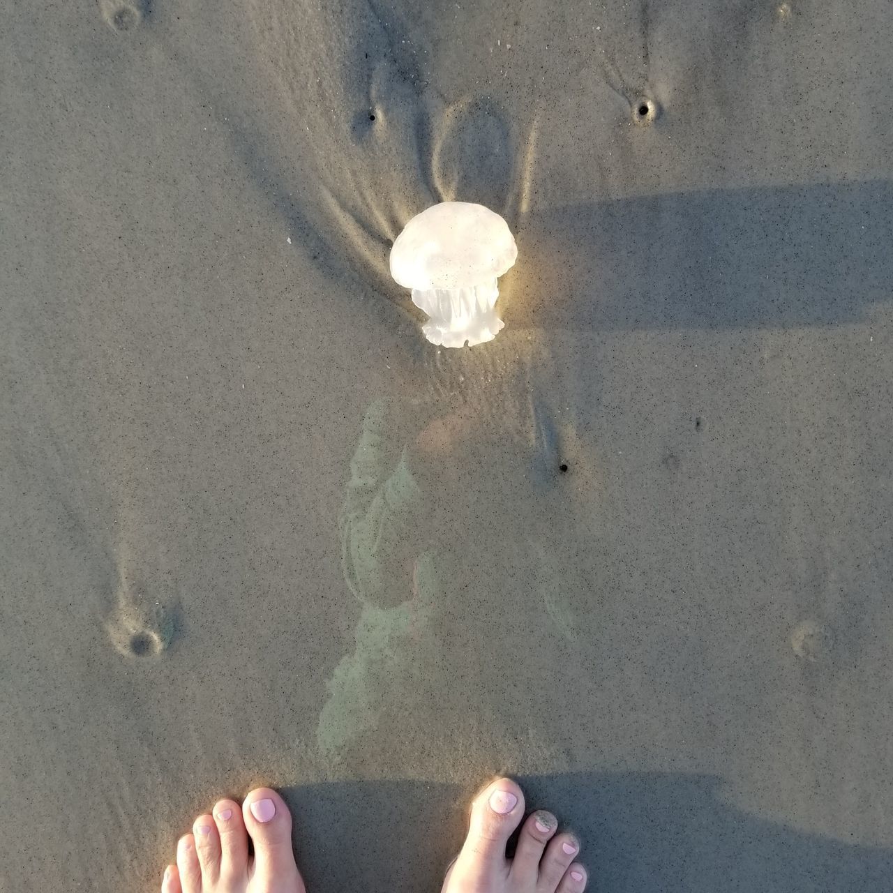 LOW SECTION OF PERSON STANDING ON SHORE