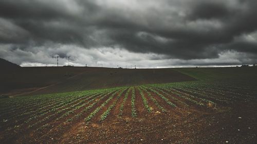 Scenic view of field against cloudy sky