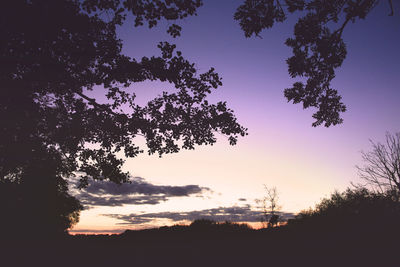 Low angle view of silhouette trees against sky during sunset