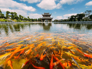 Scenic view of lake