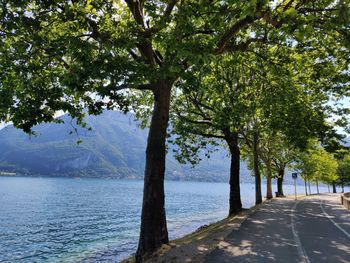 Trees by lake against sky