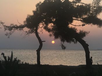 Silhouette tree by sea against sky during sunset