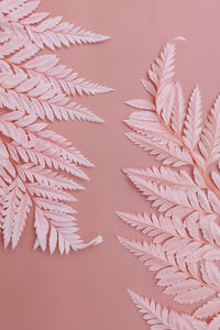 Close-up of two pink dried fern leafs on a pink background 