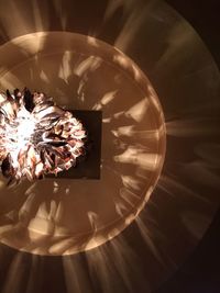 Close-up of food on table