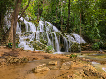 Scenic view of waterfall in forest