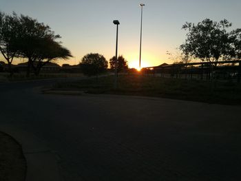 Silhouette of trees at sunset