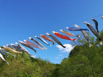 Low angle view of fish hanging against sky