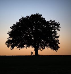 Silhouette man standing by tree on field against sky during sunset