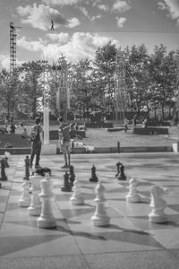 View of birds in flight