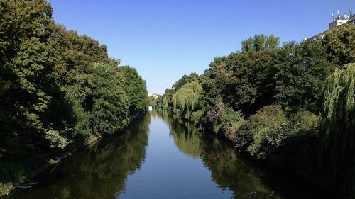 River amidst trees against clear sky