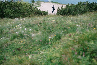 Rear view of man standing on field