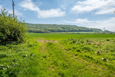 Scenic view of landscape against sky