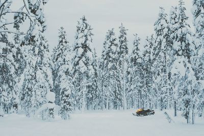 Snowmobile amidst trees on snow covered field