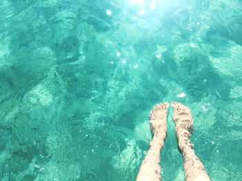 Low section of person swimming in clear water 