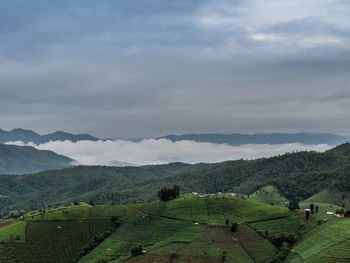 View of rice terraces at thailand.