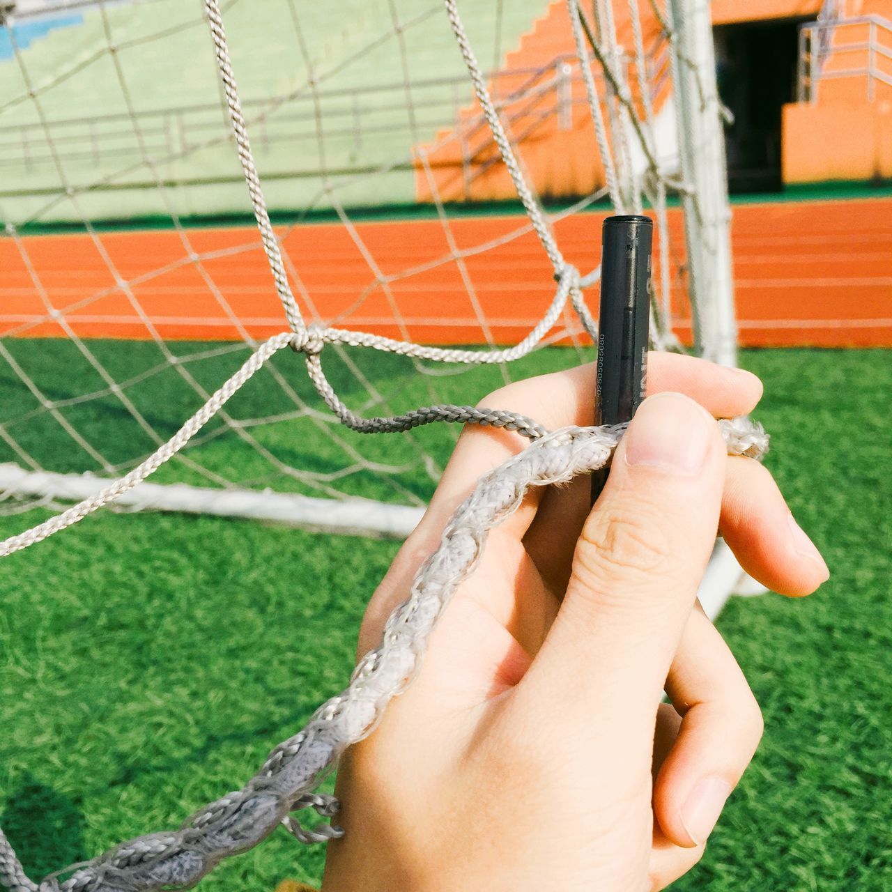 person, part of, holding, cropped, human finger, lifestyles, close-up, grass, leisure activity, unrecognizable person, green color, day, outdoors, focus on foreground, animal themes, men