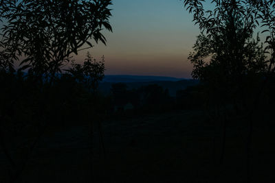 Scenic view of silhouette trees against clear sky at sunset
